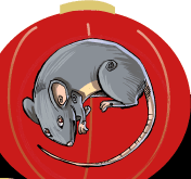 RATA