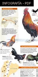 inforgrafia