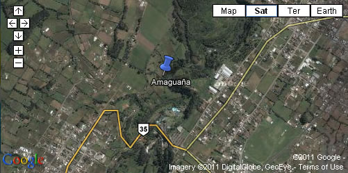 amaguana